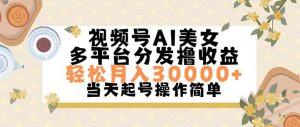 视频号AI美女，轻松月入30000+,操作简单轻松上手-源创网