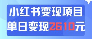 利用小红书卖资料单日引流150人当日变现2610元小白可实操(教程+资料)-源创网
