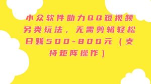 小众软件助力QQ短视频另类玩法,无需剪辑轻松日赚500-800元(支持矩阵...-源创网