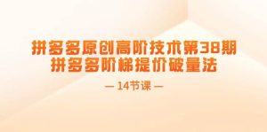 拼多多原创高阶技术第38期，拼多多阶梯提价破量法（14节课）-源创网