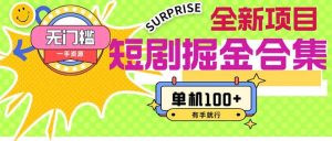 短剧掘金合集2.0  无门槛没成本 有手就行 单机100+-源创网