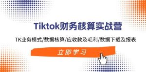 Tiktok财务核算实战营:TK业务模式/数据核算/应收款及毛利/数据下载及报表-源创网