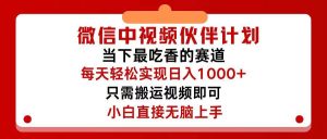 微信中视频伙伴计划，仅靠搬运就能轻松实现日入500+，关键操作还简单，...-源创网
