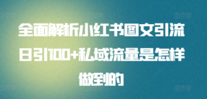 全面解析小红书图文引流日引100私域流量是怎样做到的-源创网