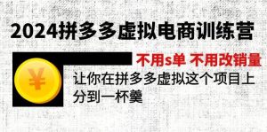 2024拼多多虚拟电商训练营 不s单 不改销量  做虚拟项目分一杯羹(更新10节)-源创网