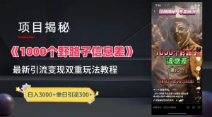 抖音一千个野路子信息差最新玩法教程-变现+引流的玩法具体拆解-源创网