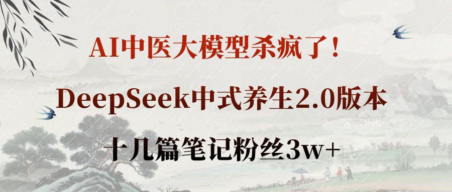 AI中医大模型杀疯了！DeepSeek中式养生2.0版本，十几篇笔记粉丝3w+-源创网